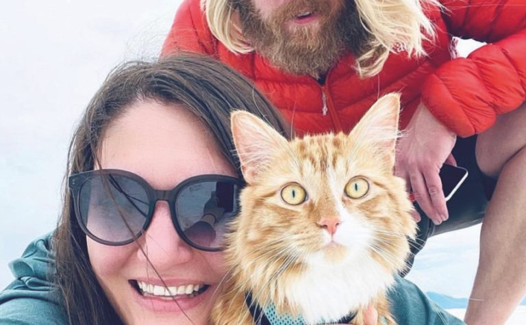 Звезда TikTok — кот Либен, авантюрист.
