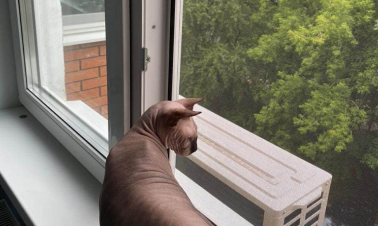 Смертельная угроза для кота — стеклопакеты в режиме проветривания 1